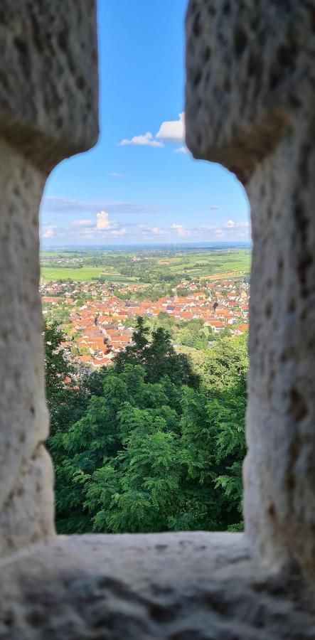 Weinhof Pfeffer * Klingenmuenster