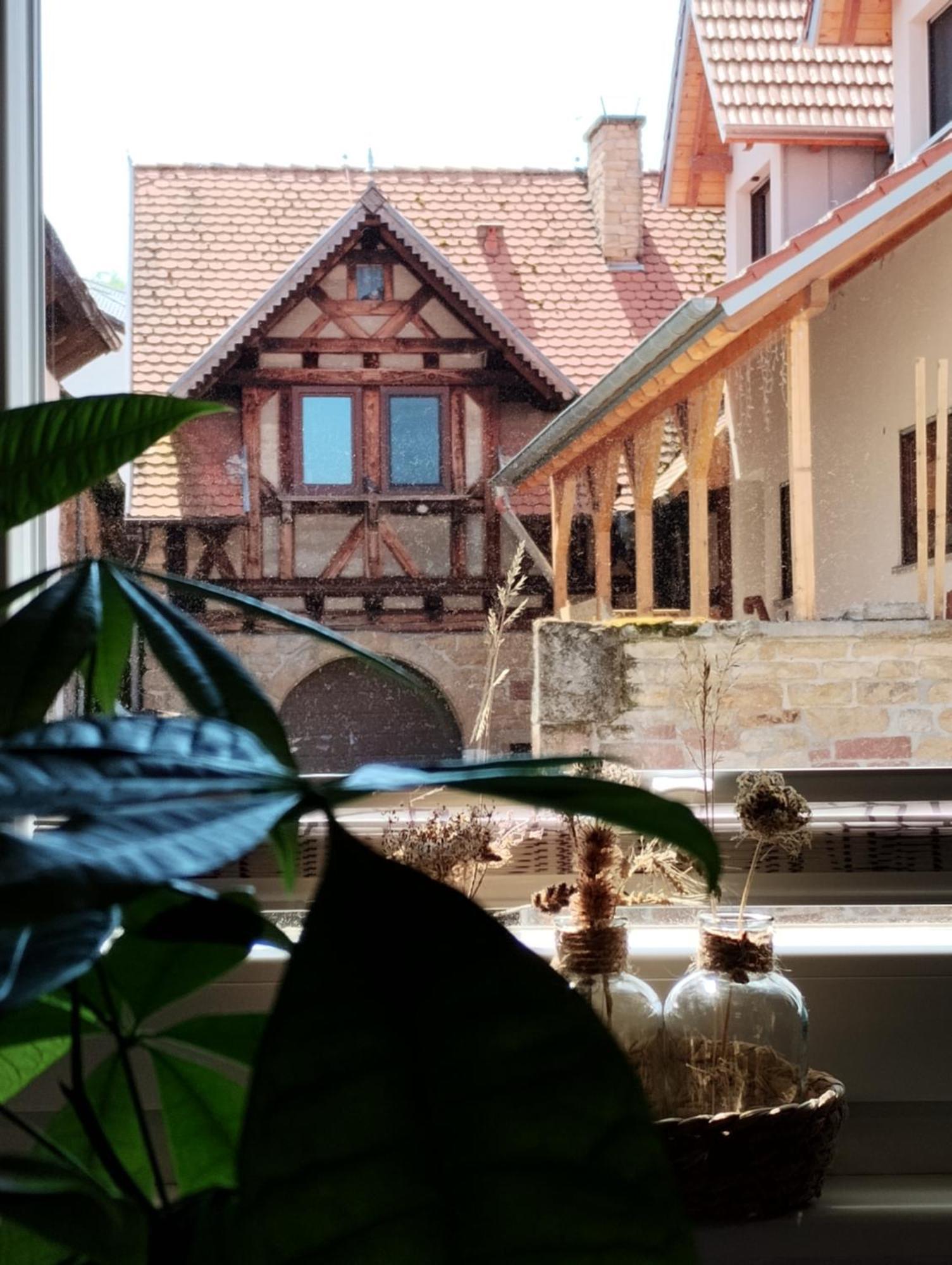 Weinhof Pfeffer * Klingenmuenster